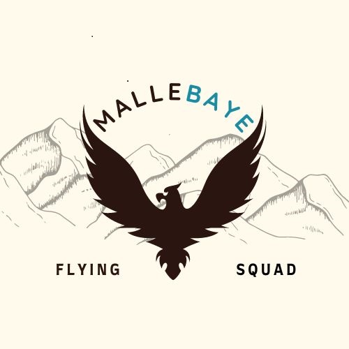 MALLE BAYE FLYING SQUAD